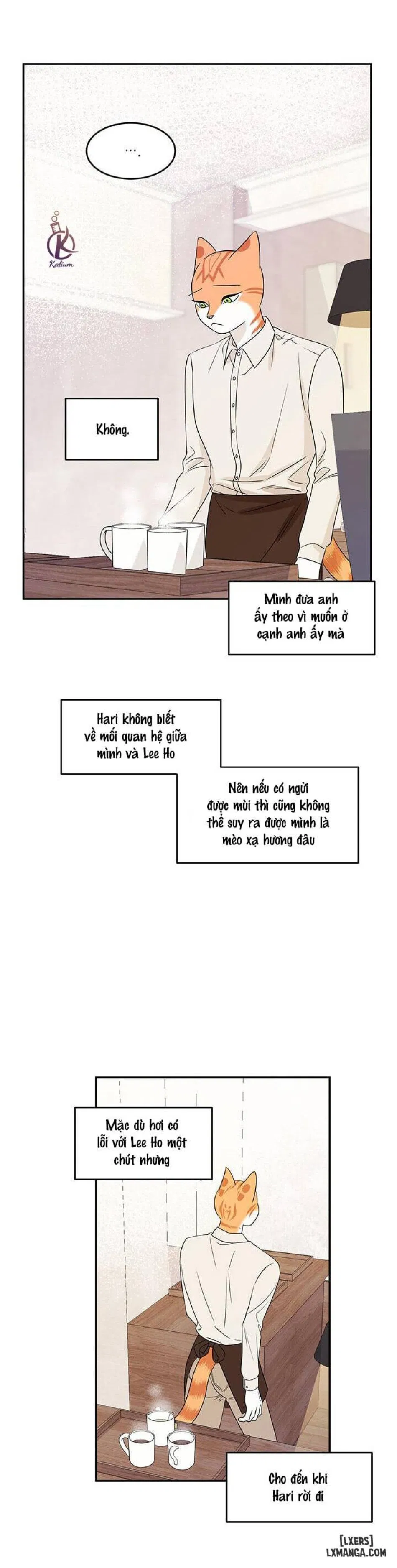 Dự án xanh 