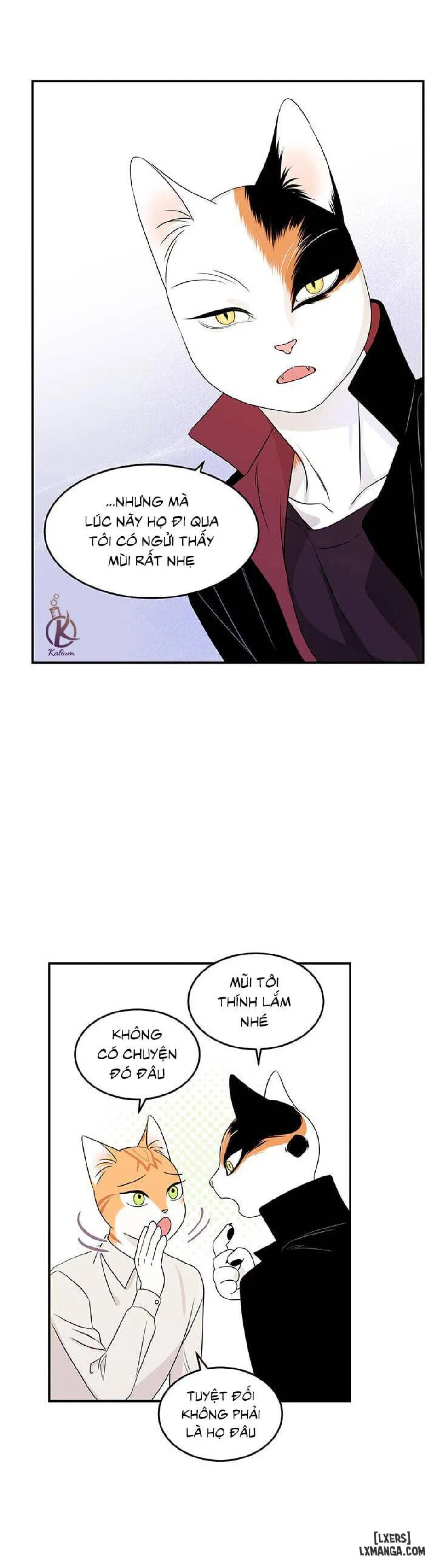 Dự án xanh 