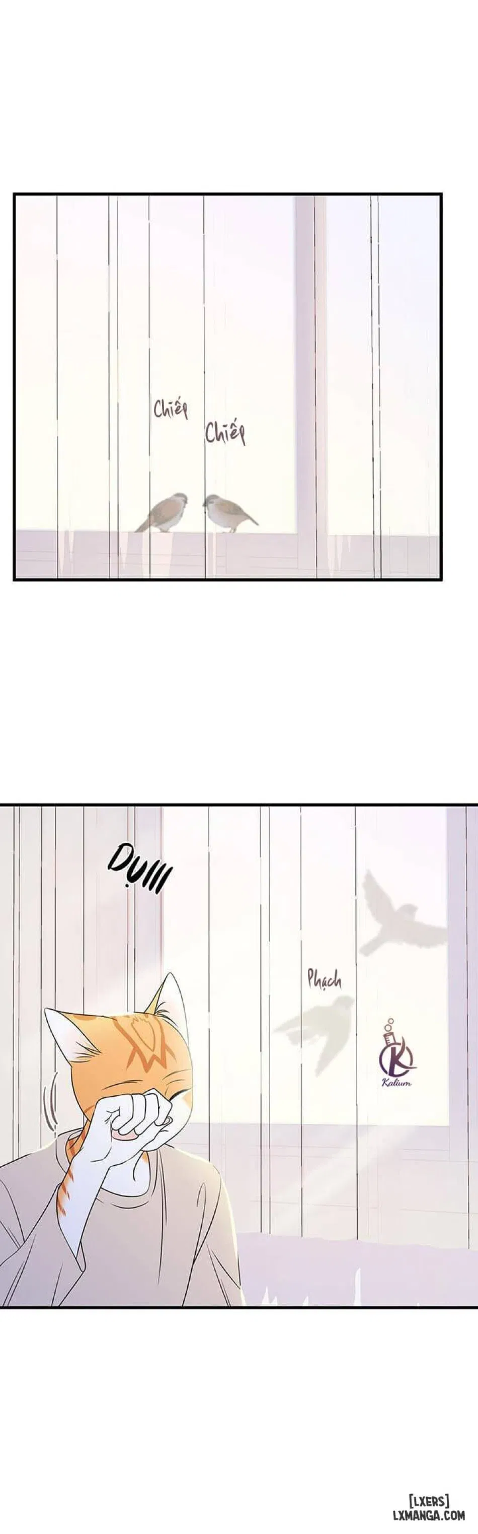Dự án xanh 