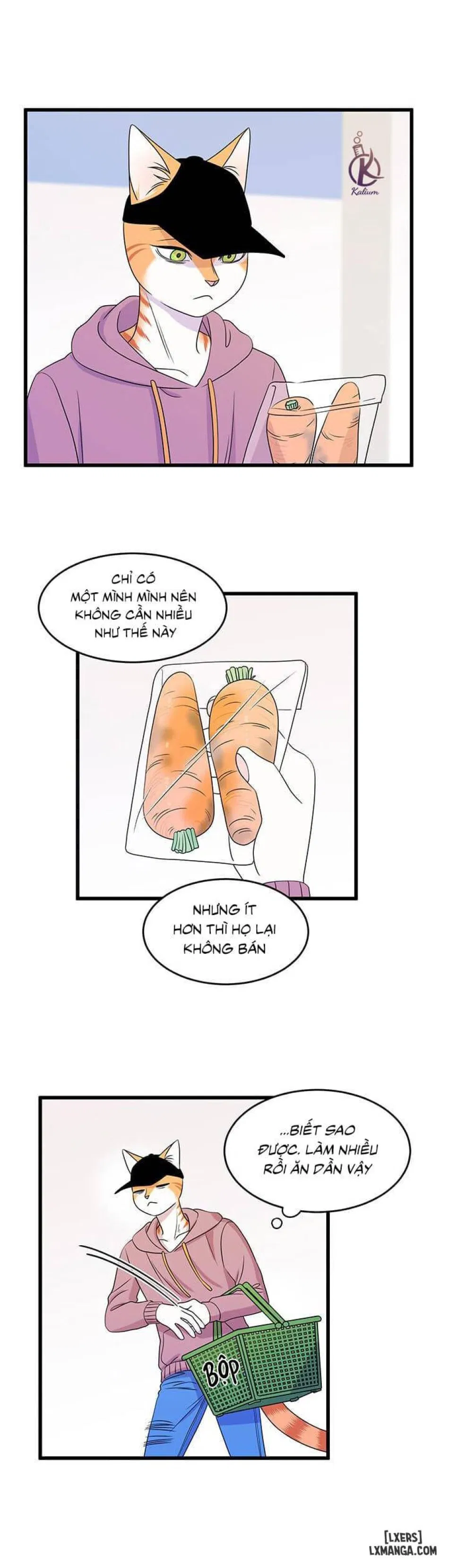 Dự án xanh 