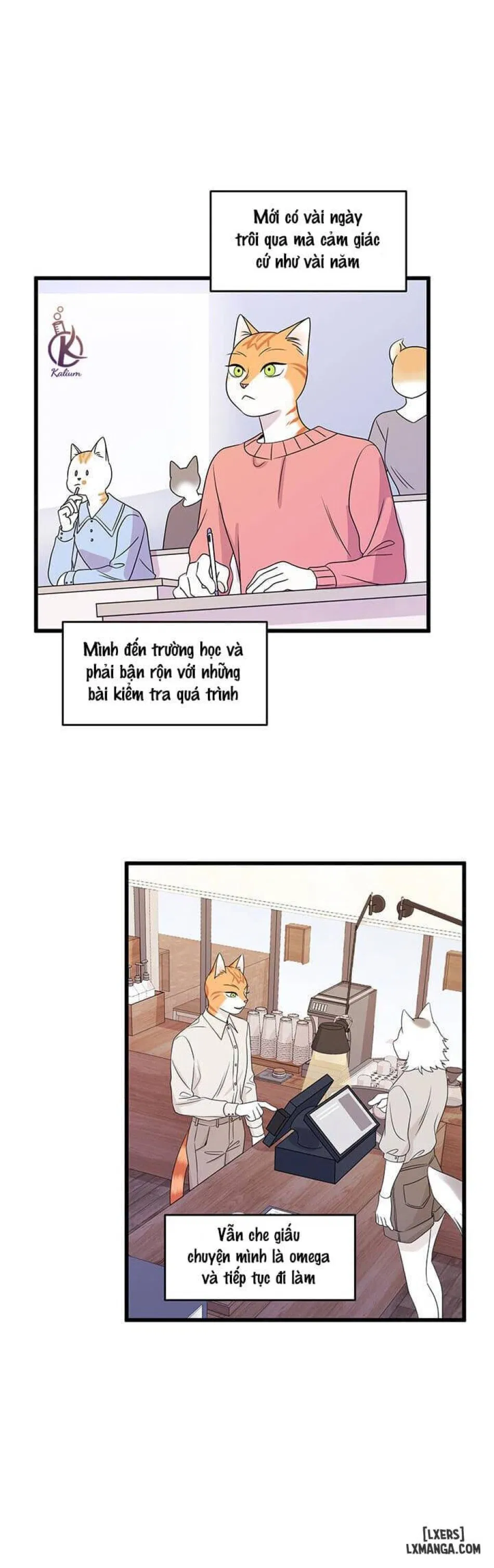 Dự án xanh 