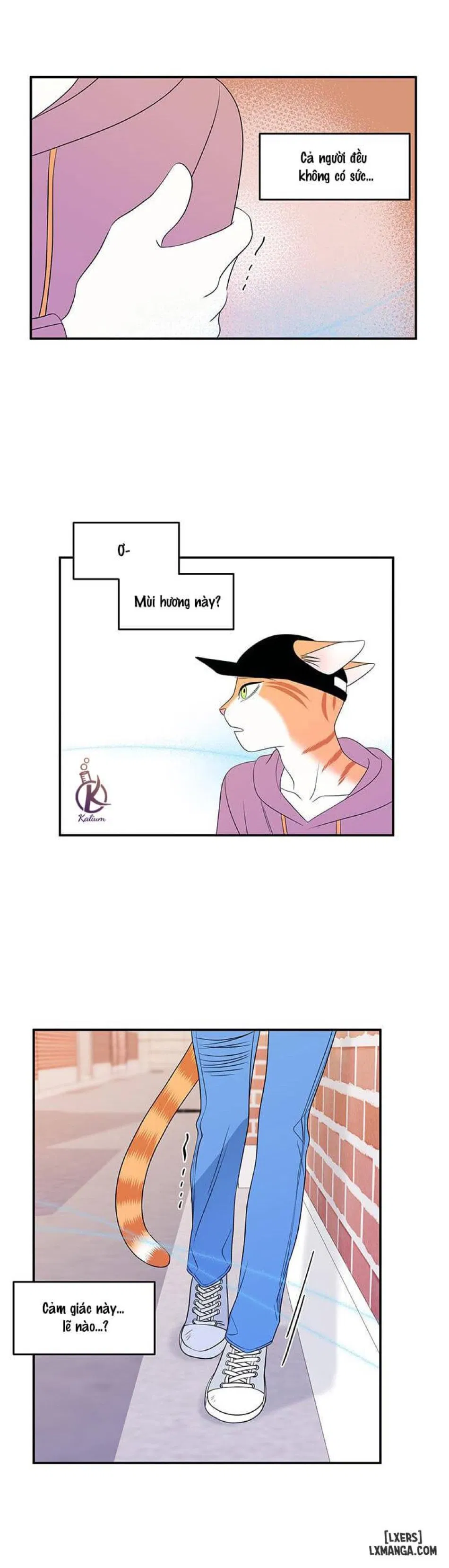 Dự án xanh 