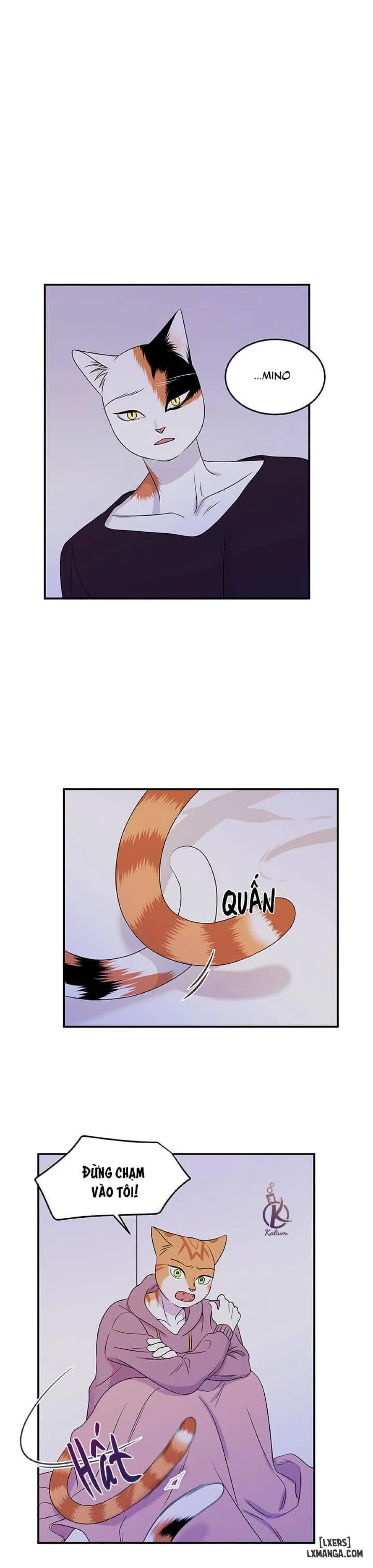 Dự án xanh 
