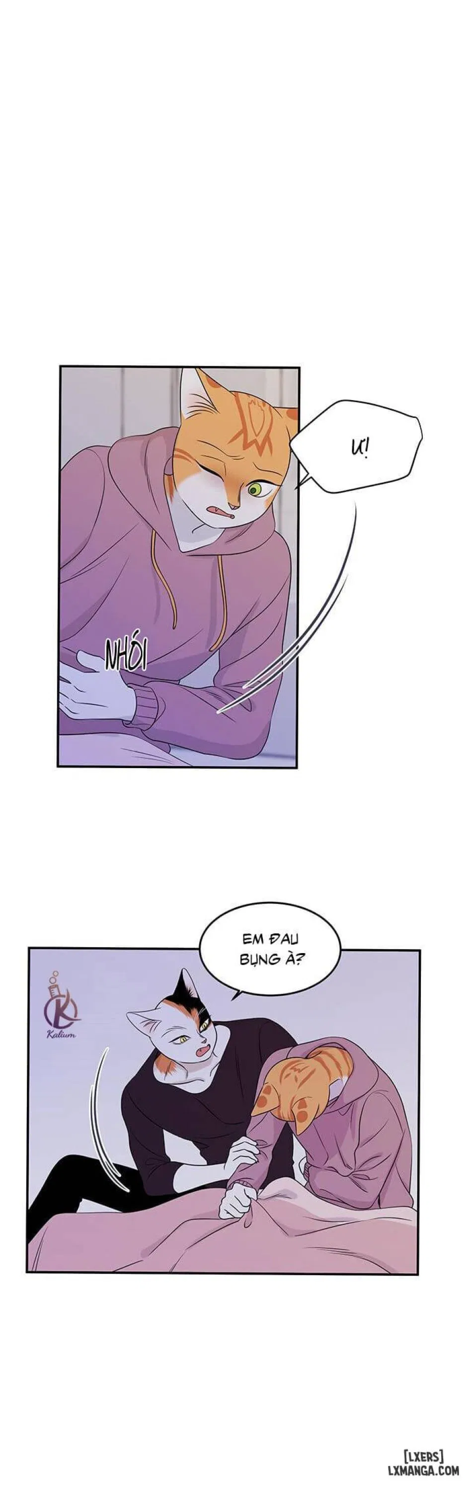 Dự án xanh 