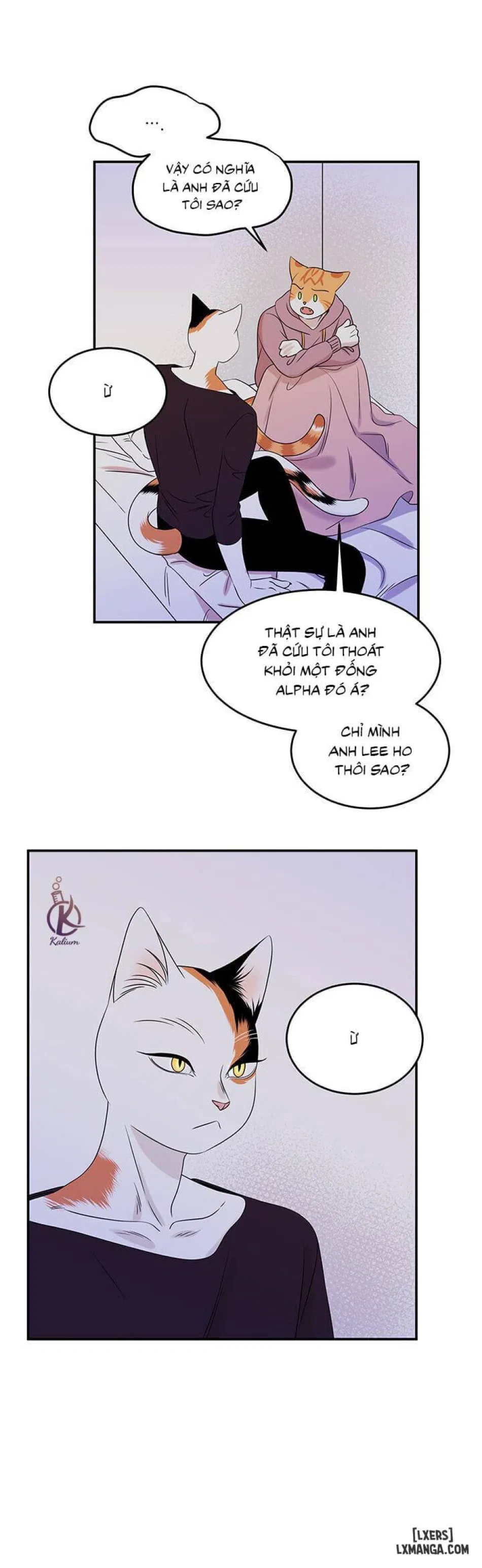 Dự án xanh 