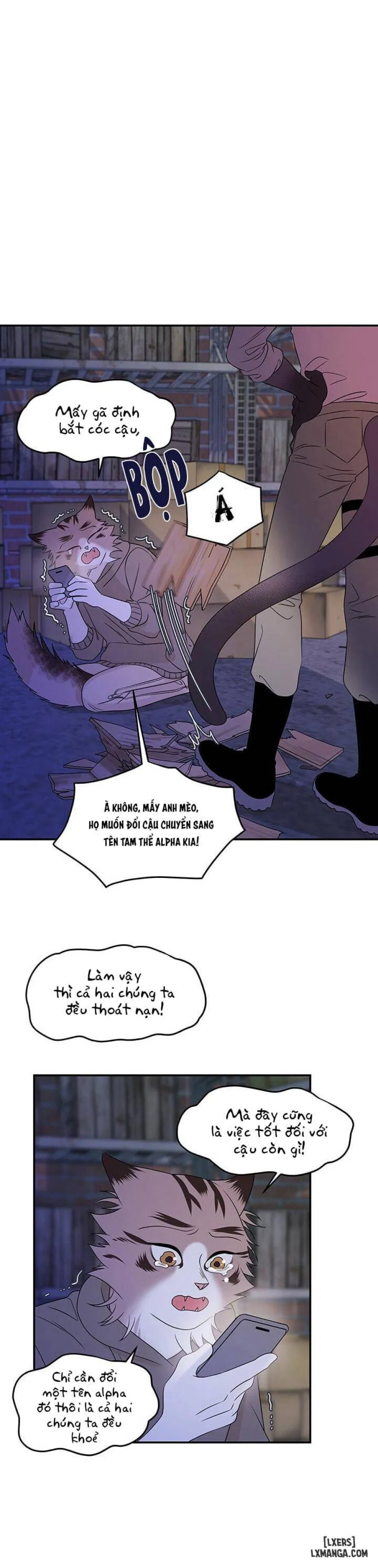 Dự án xanh 