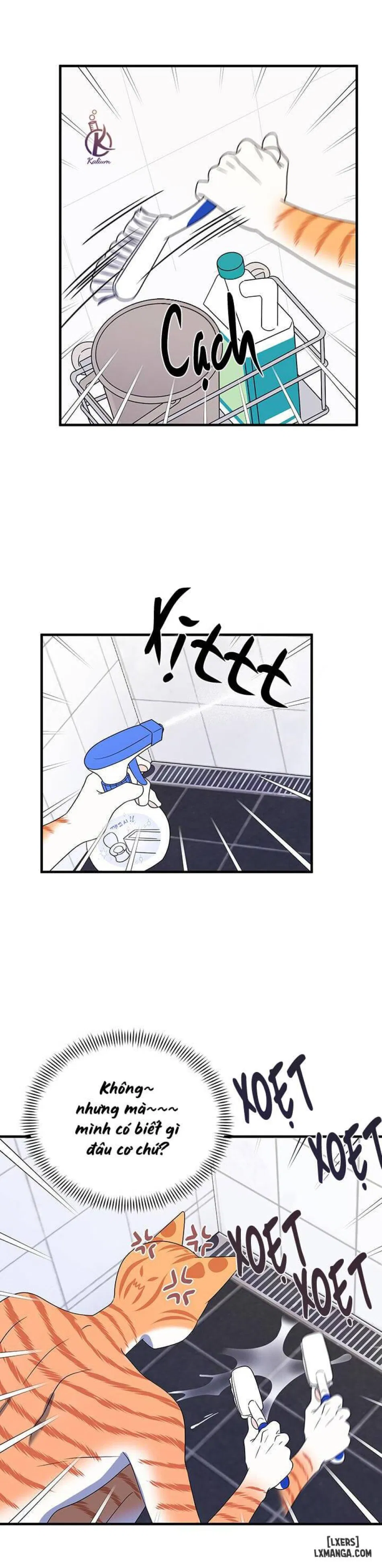 Dự án xanh 