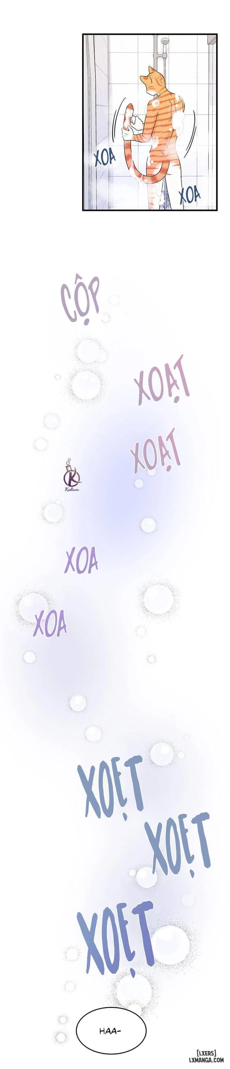 Dự án xanh 
