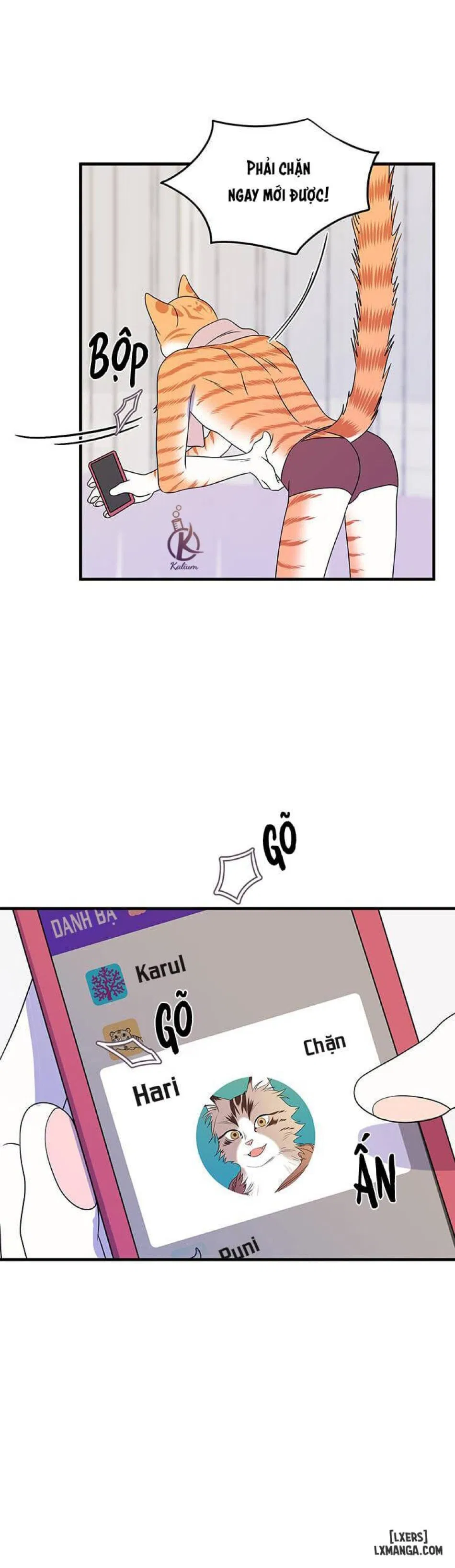 Dự án xanh 