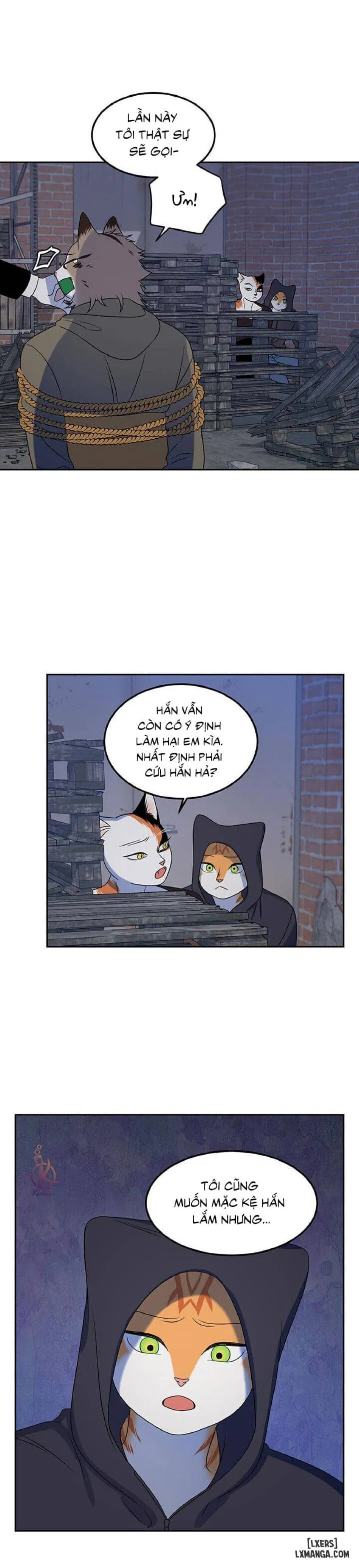 Dự án xanh 