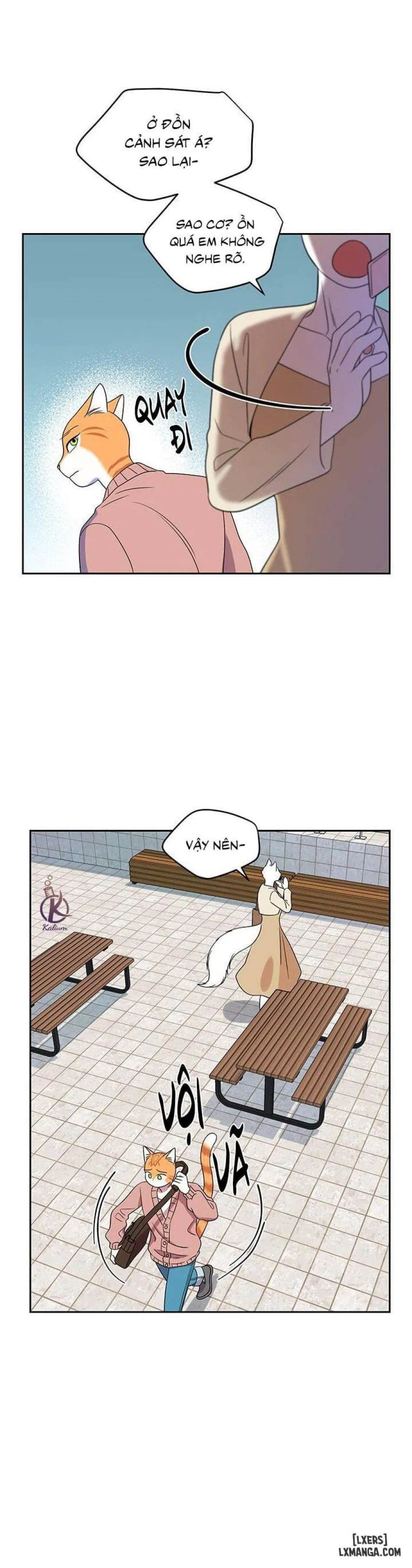 Dự án xanh 