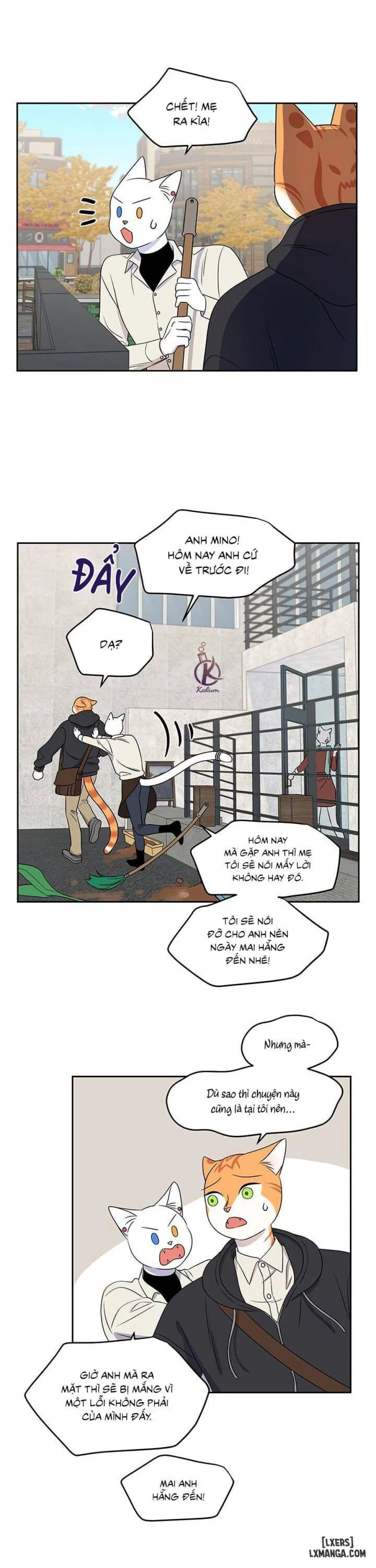 Dự án xanh 