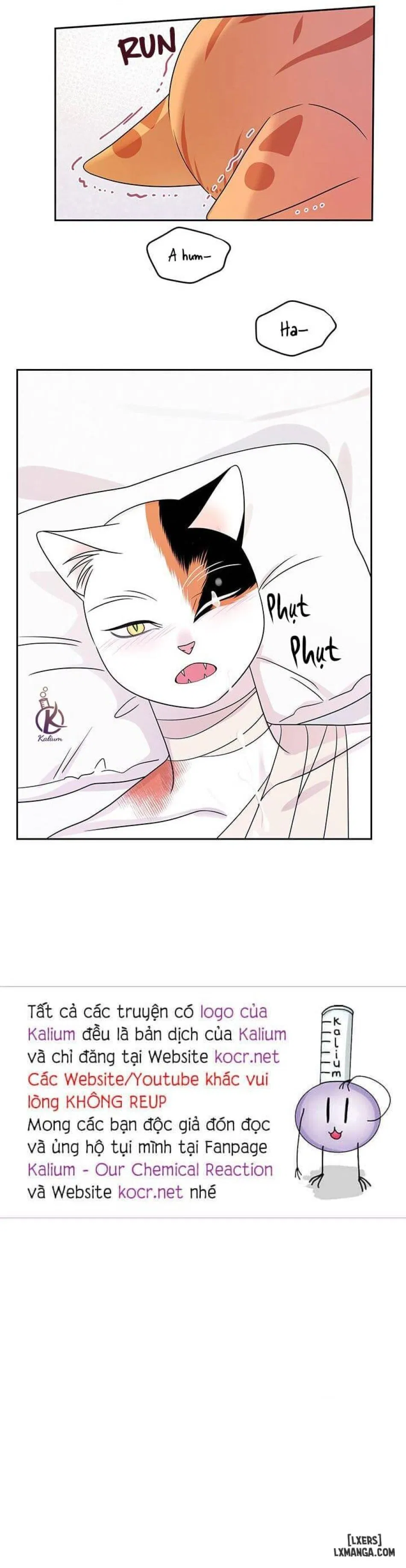 Dự án xanh 