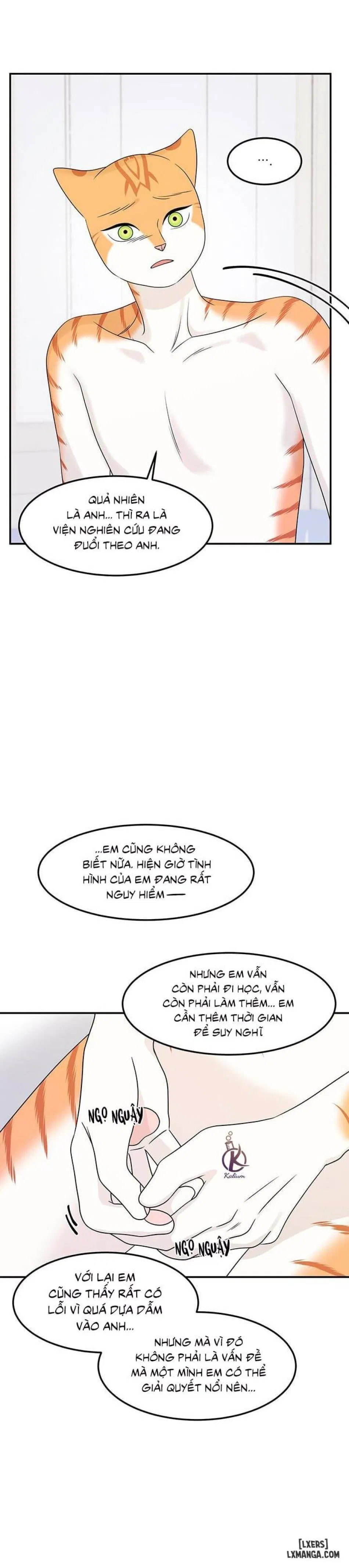 Dự án xanh 