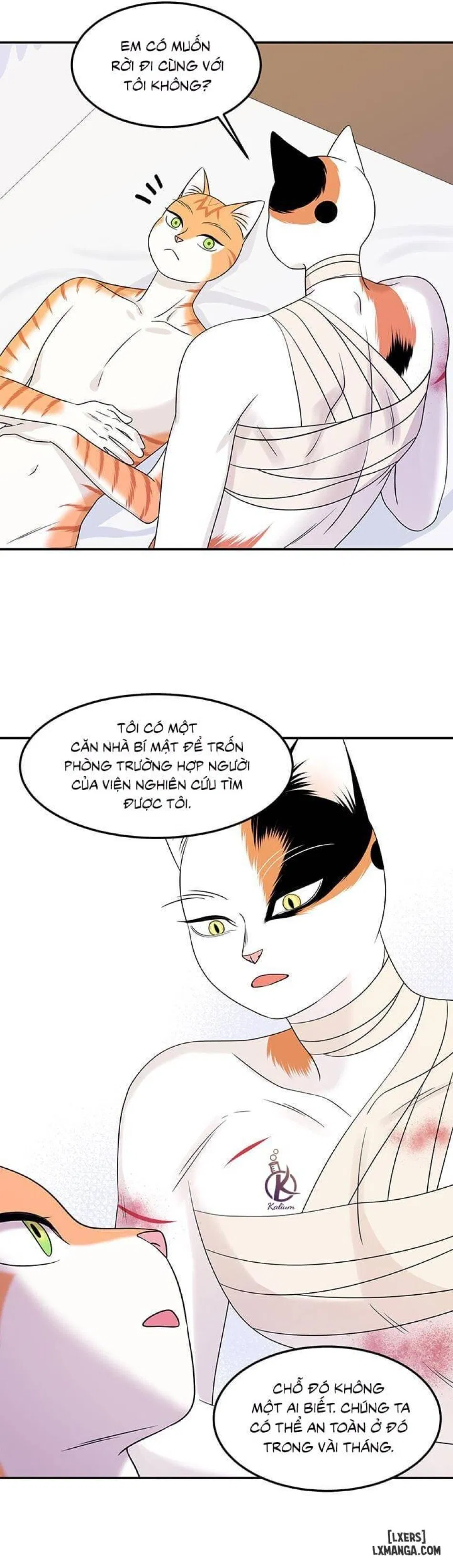 Dự án xanh 