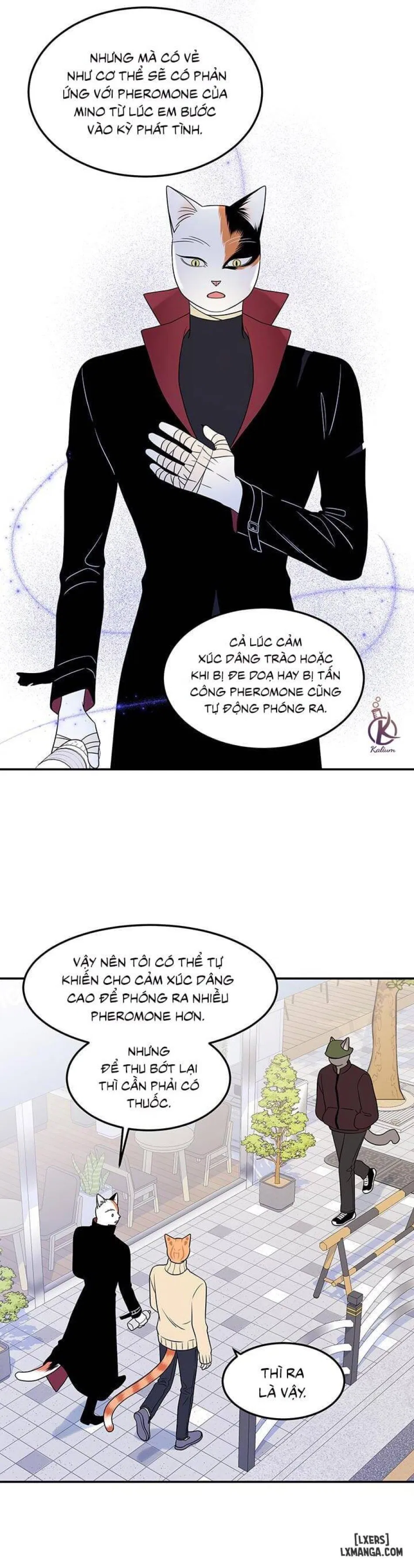 Dự án xanh 