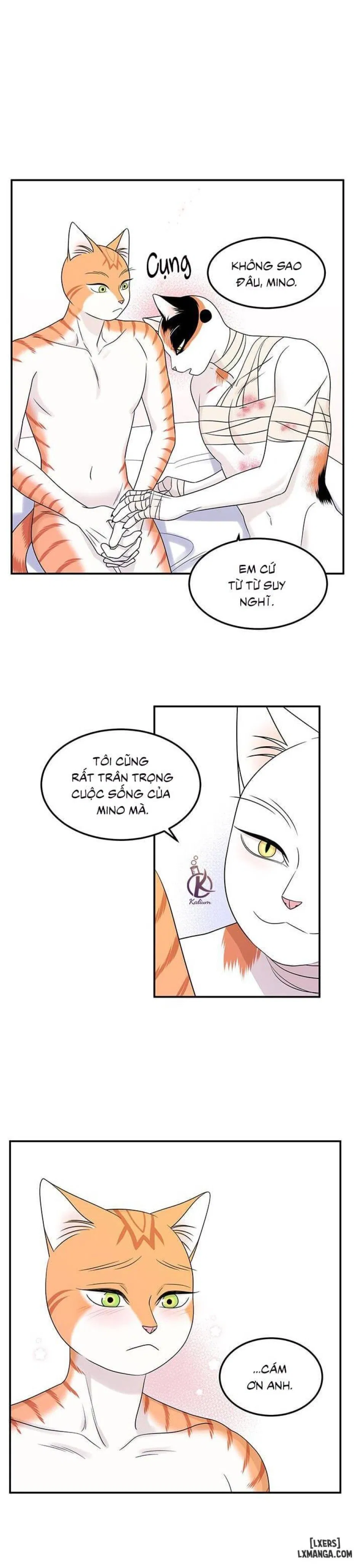 Dự án xanh 