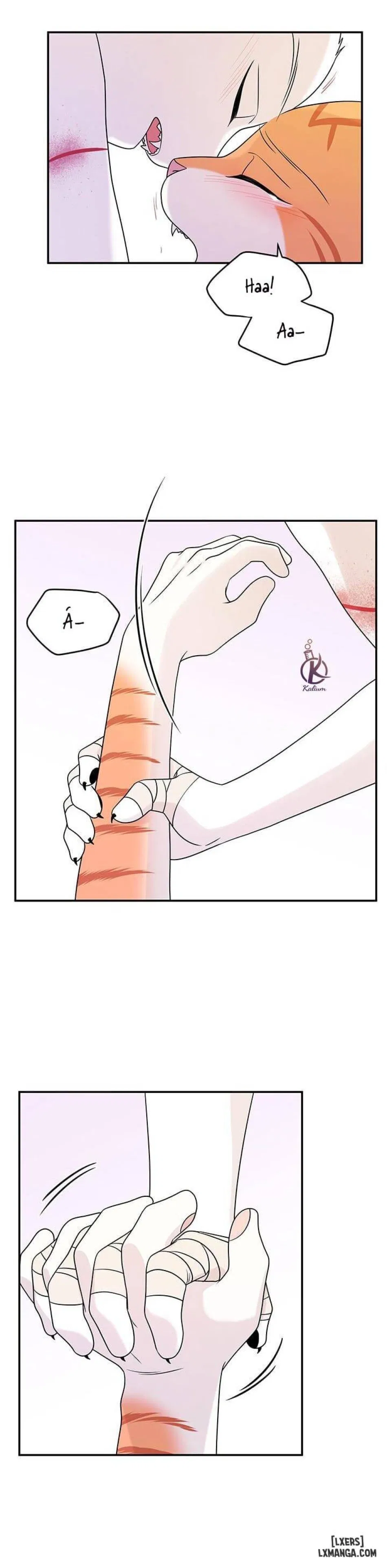 Dự án xanh 