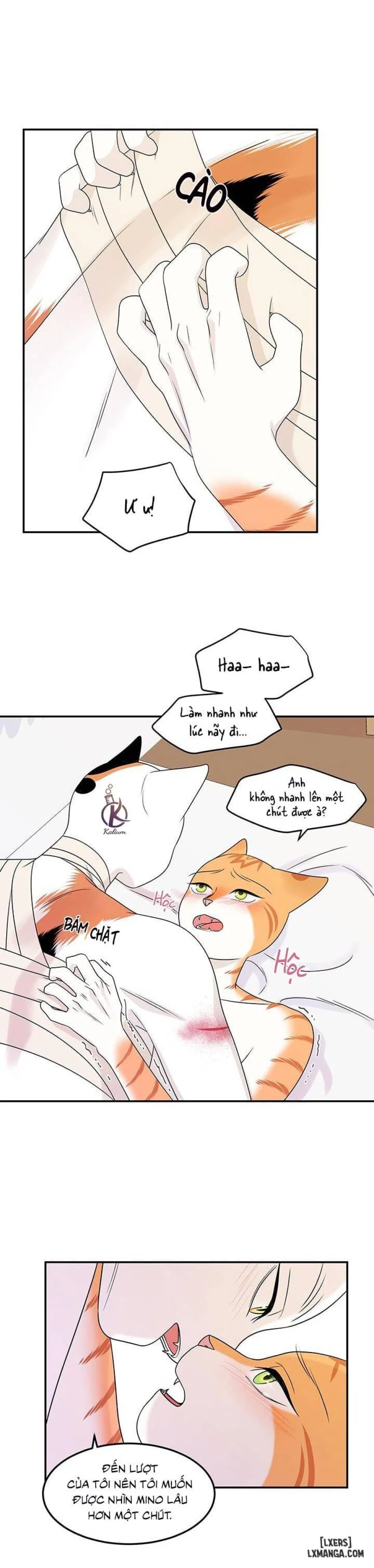 Dự án xanh 