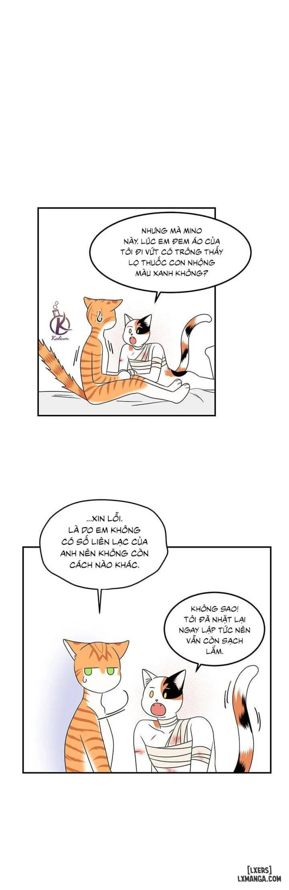 Dự án xanh 