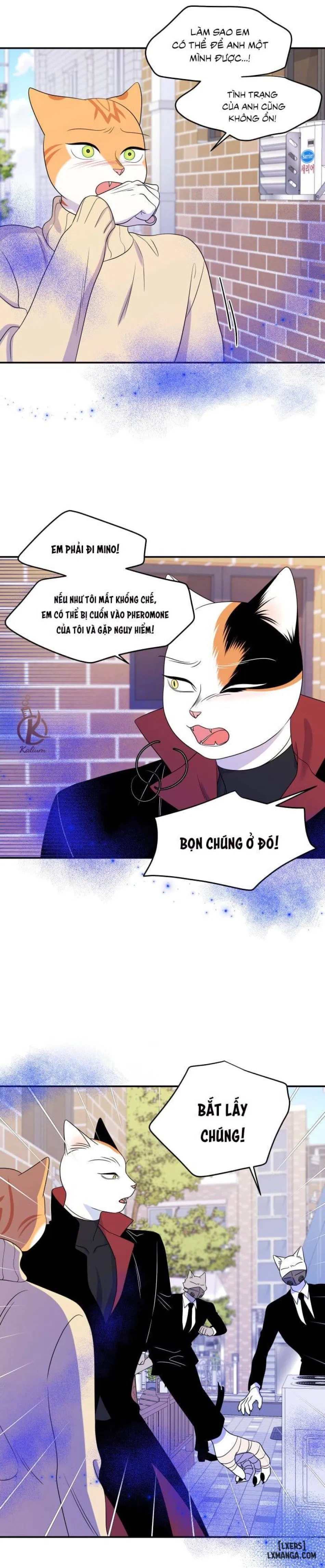 Dự án xanh 