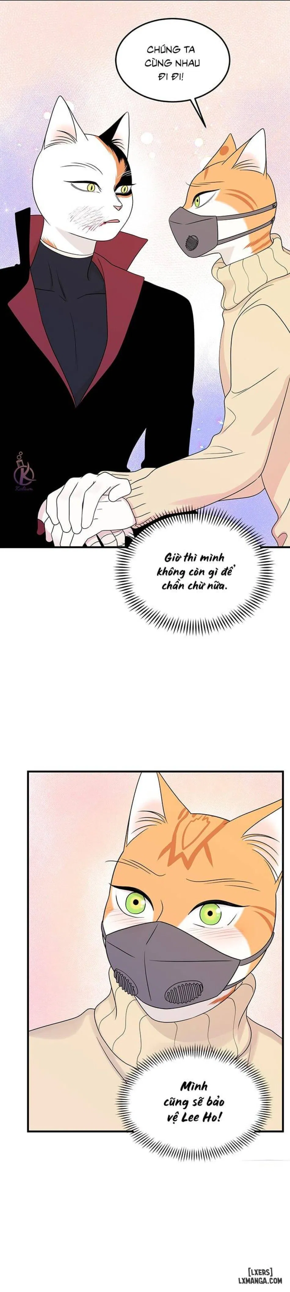 Dự án xanh 