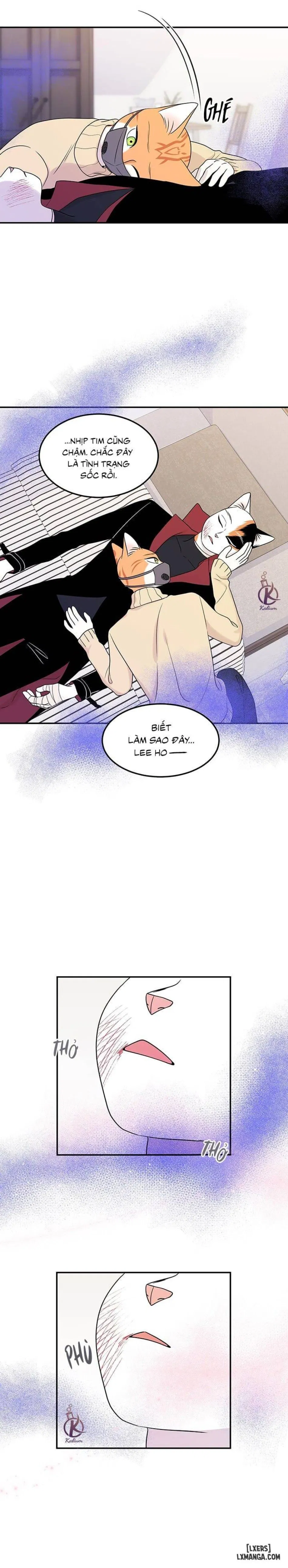 Dự án xanh 