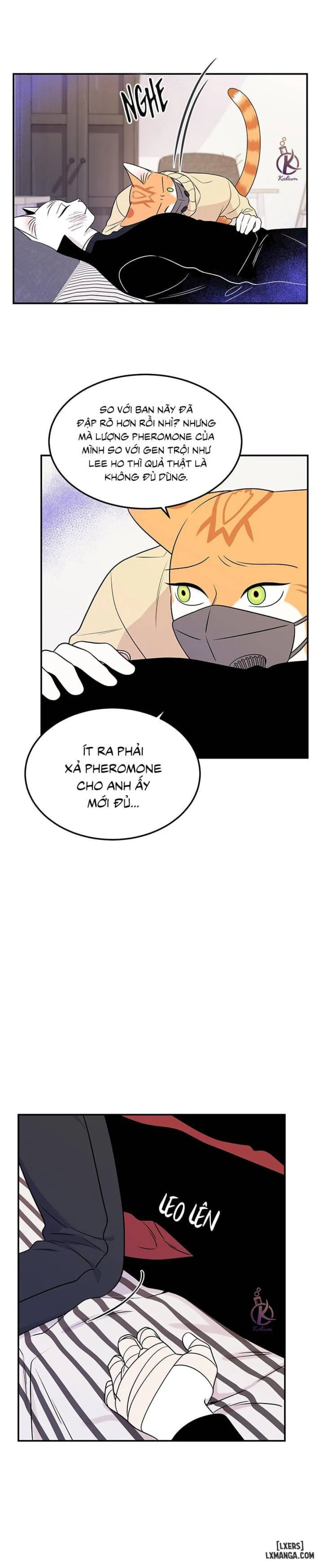 Dự án xanh 