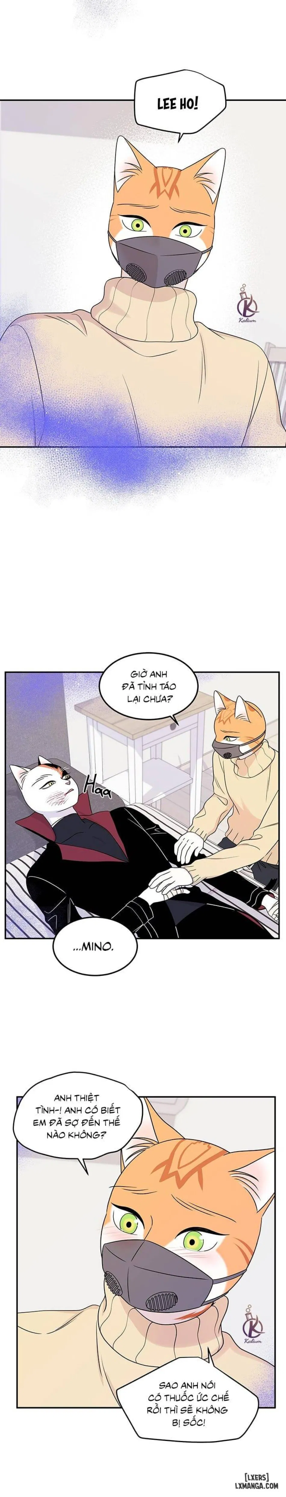 Dự án xanh 