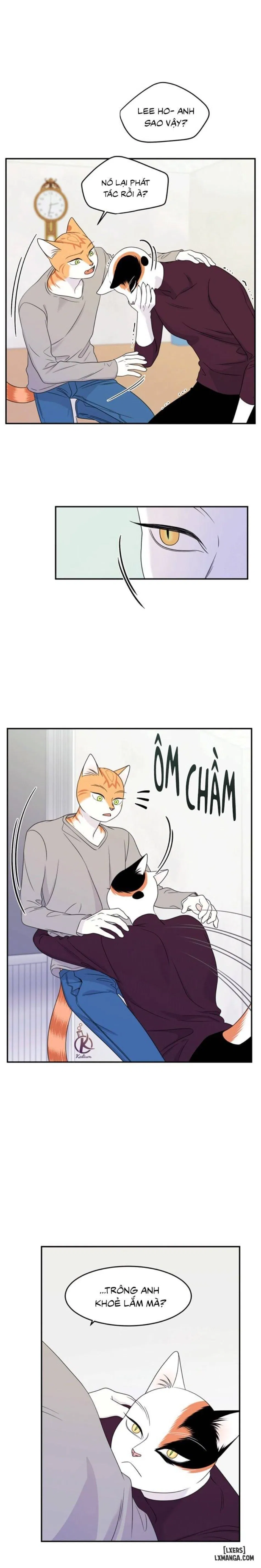 Dự án xanh 