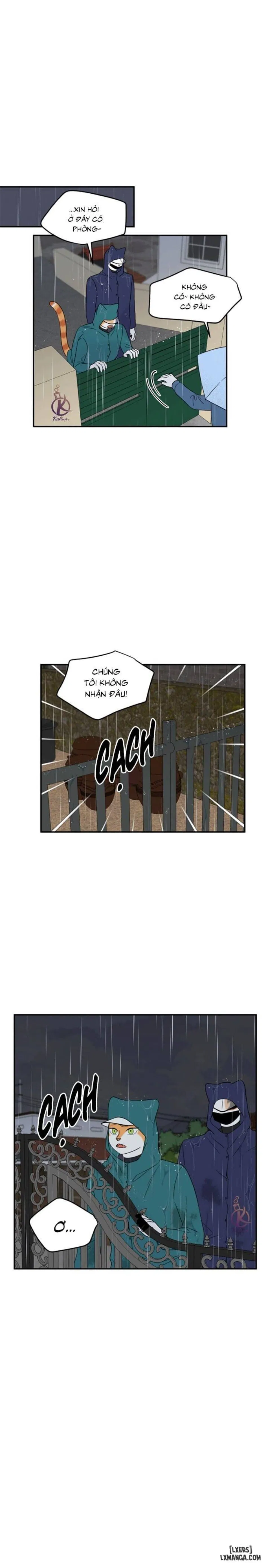 Dự án xanh 