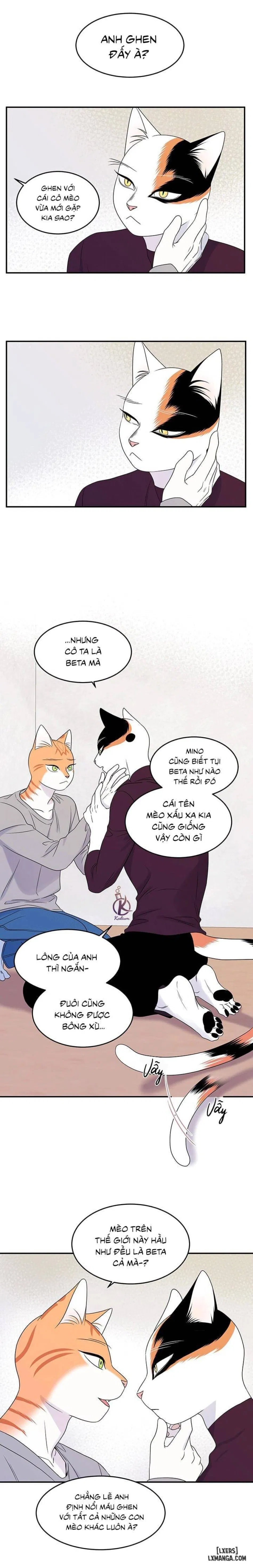 Dự án xanh 