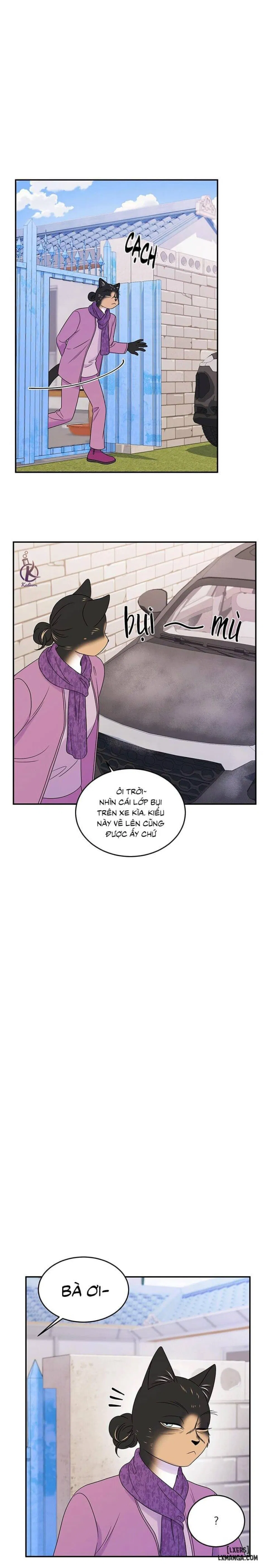 Dự án xanh 