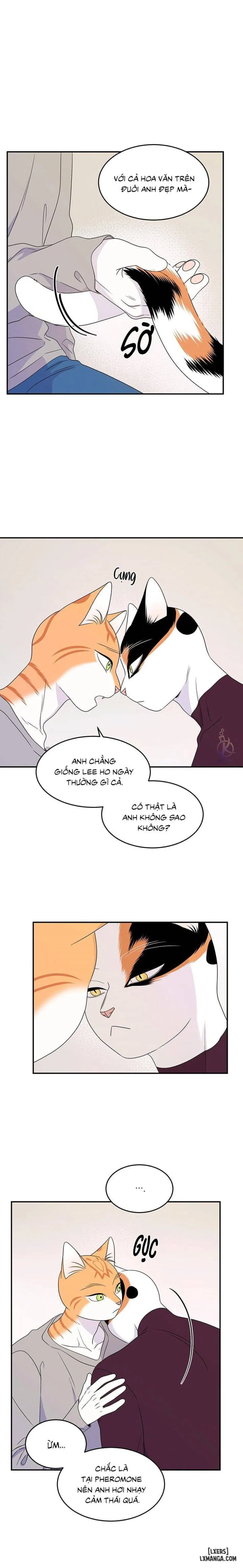 Dự án xanh 