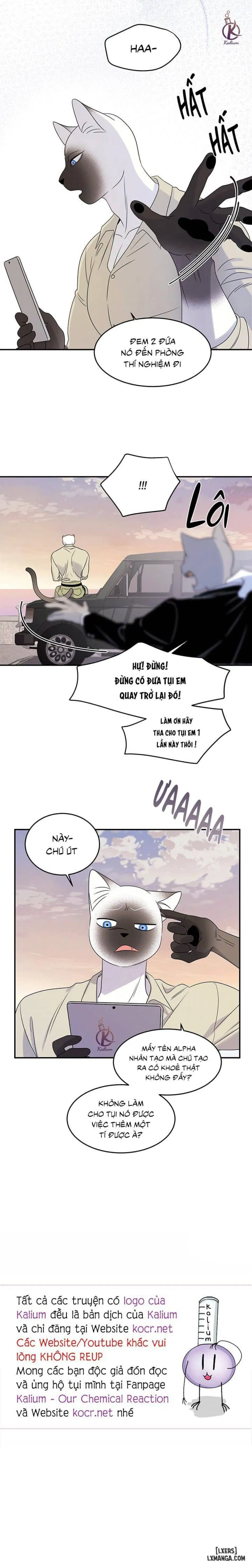 Dự án xanh 
