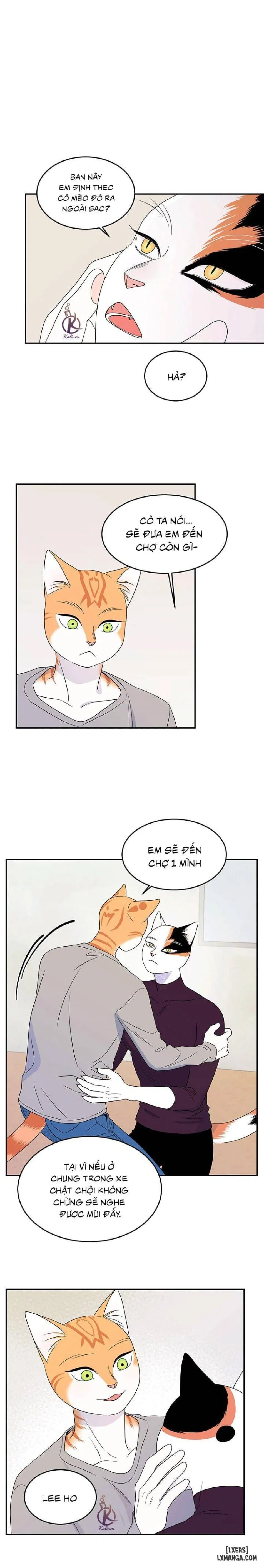 Dự án xanh 