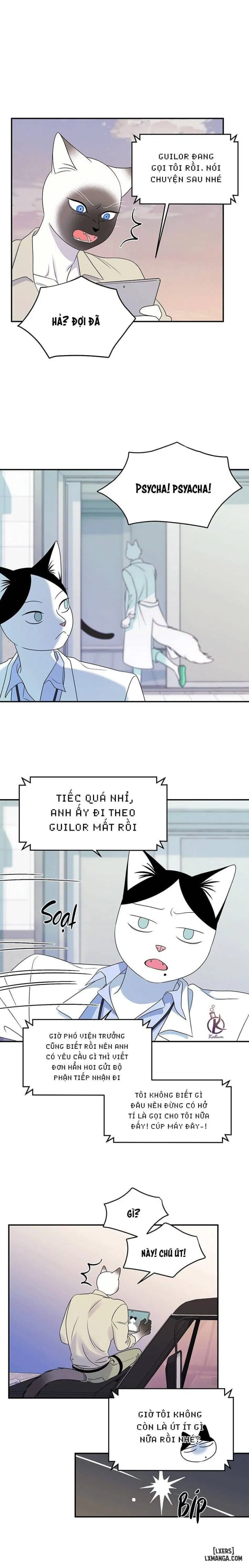 Dự án xanh 