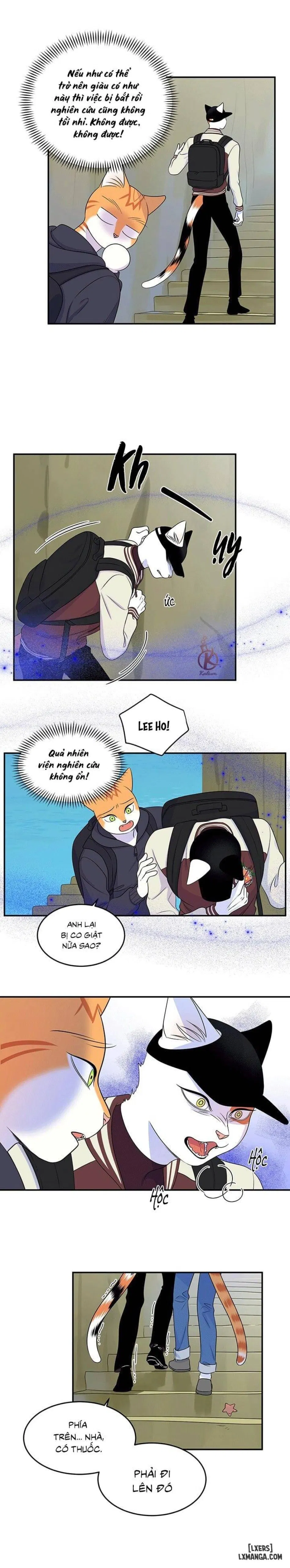 Dự án xanh 