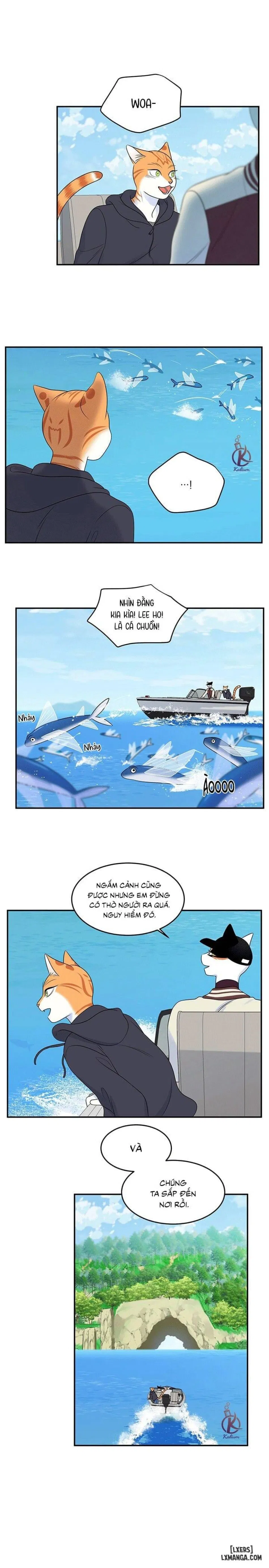 Dự án xanh 