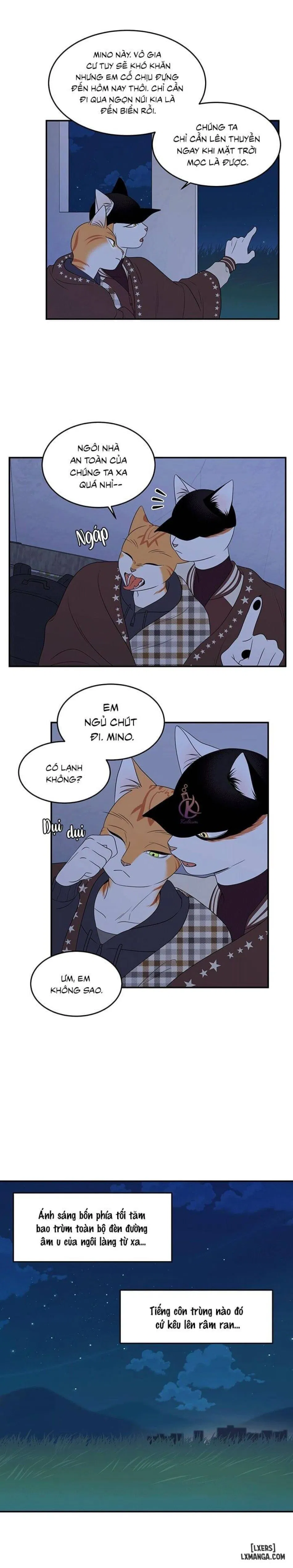 Dự án xanh 