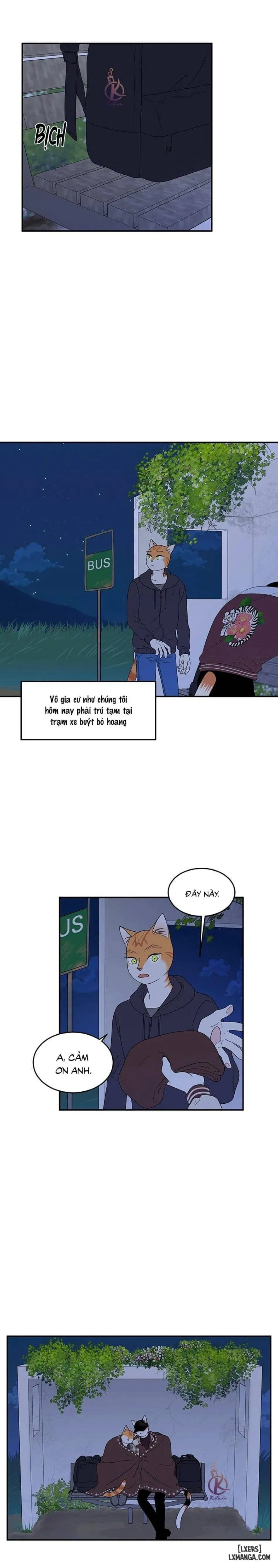 Dự án xanh 