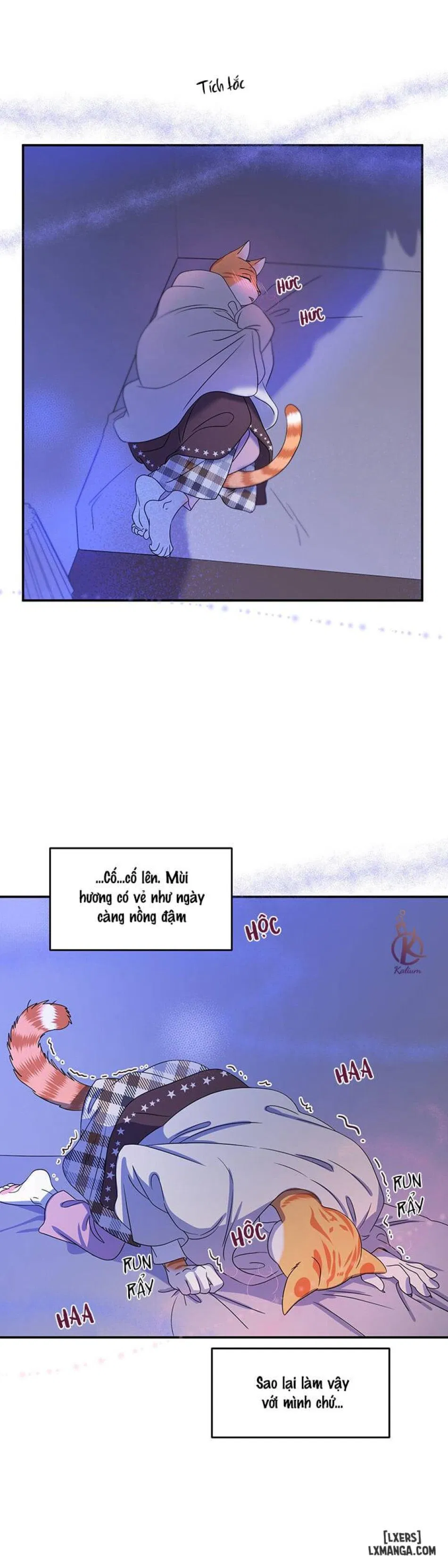 Dự án xanh 