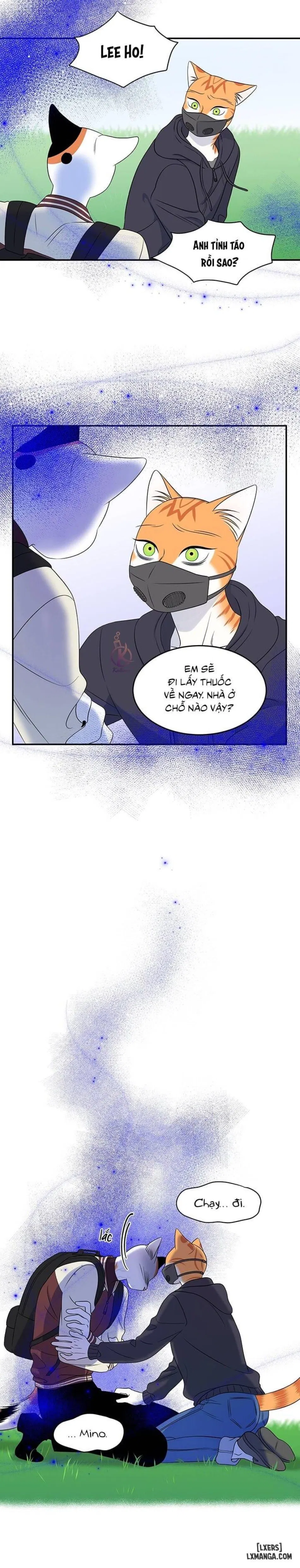 Dự án xanh 