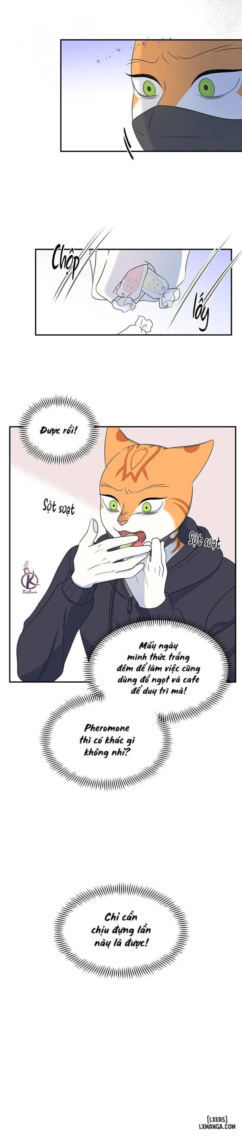 Dự án xanh 