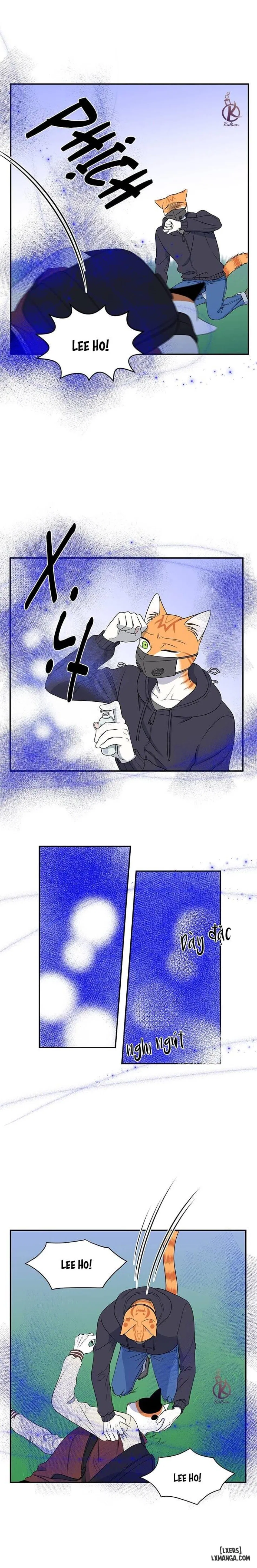 Dự án xanh 