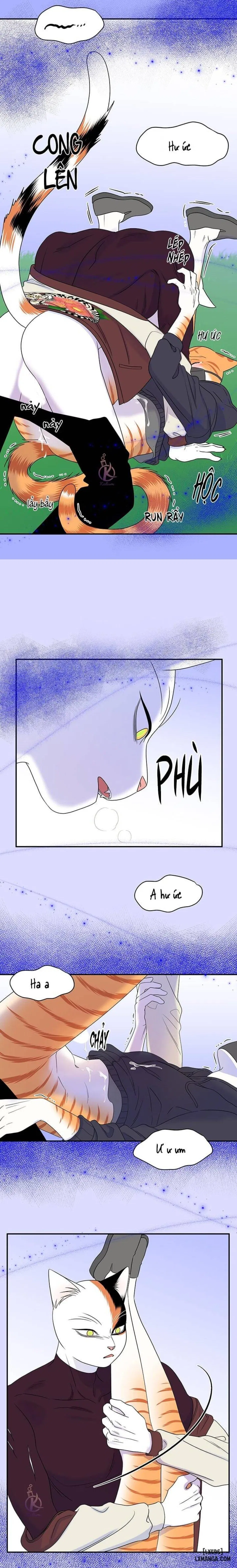 Dự án xanh 