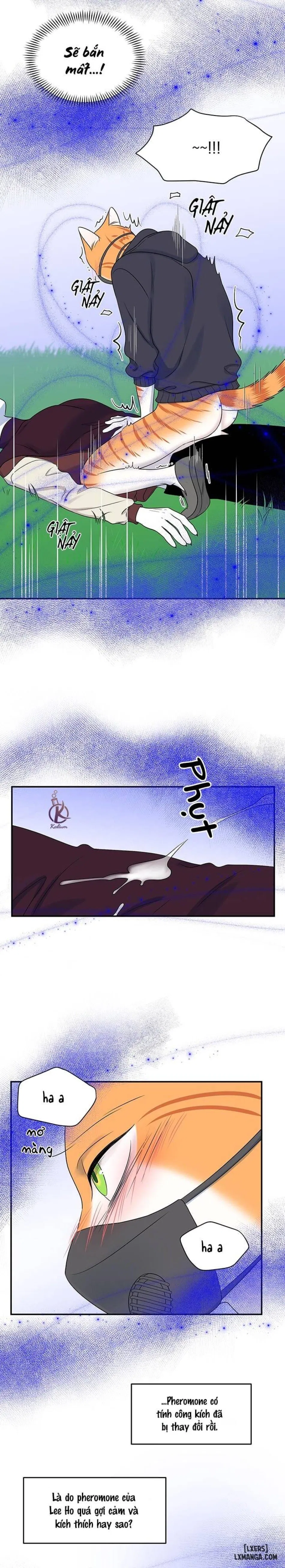 Dự án xanh 