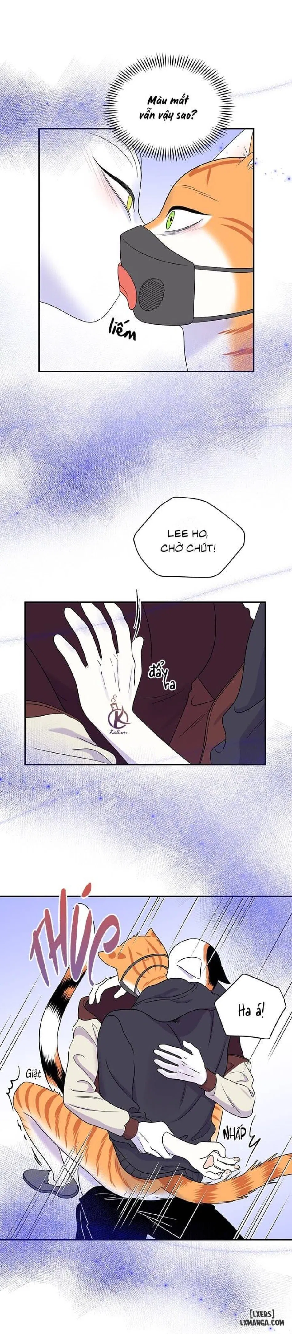Dự án xanh 