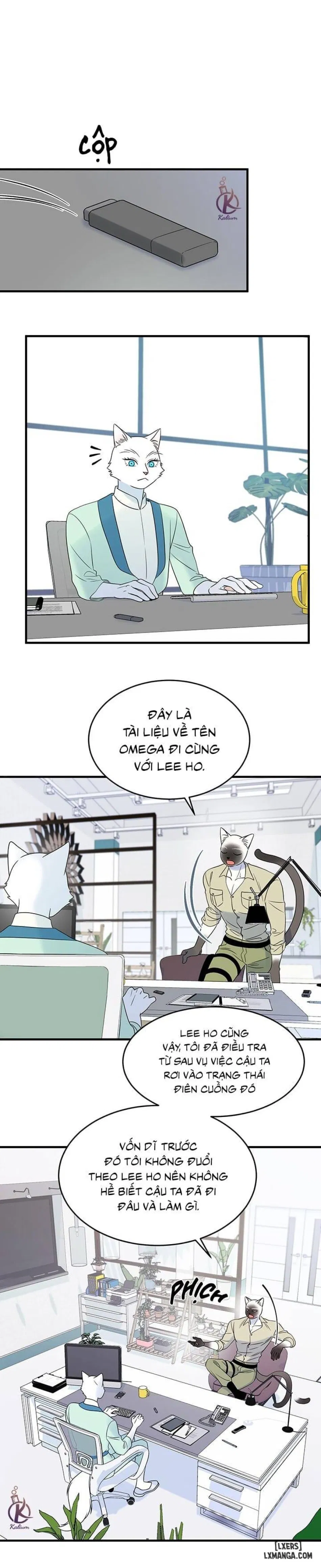Dự án xanh 