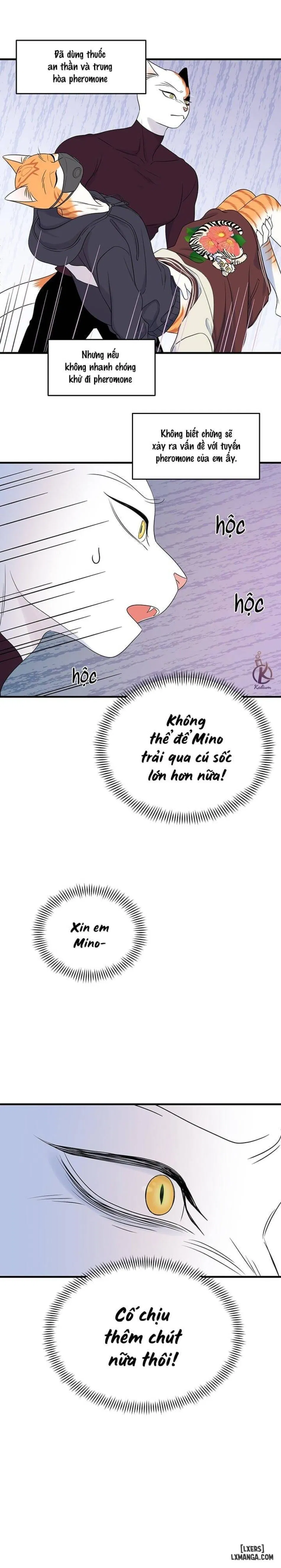 Dự án xanh 